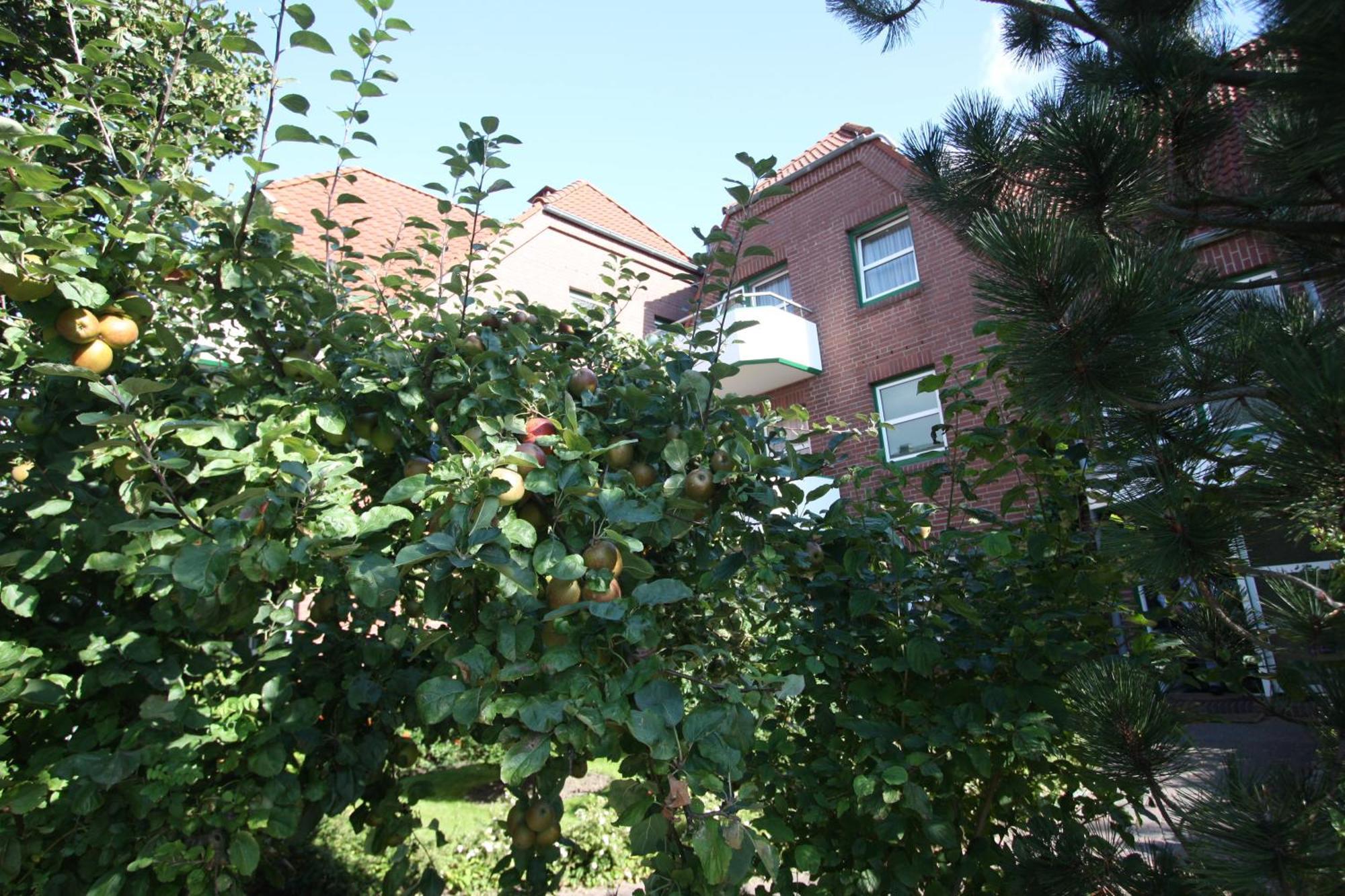 Apartmenthaus Hollaenderei Busum Luaran gambar